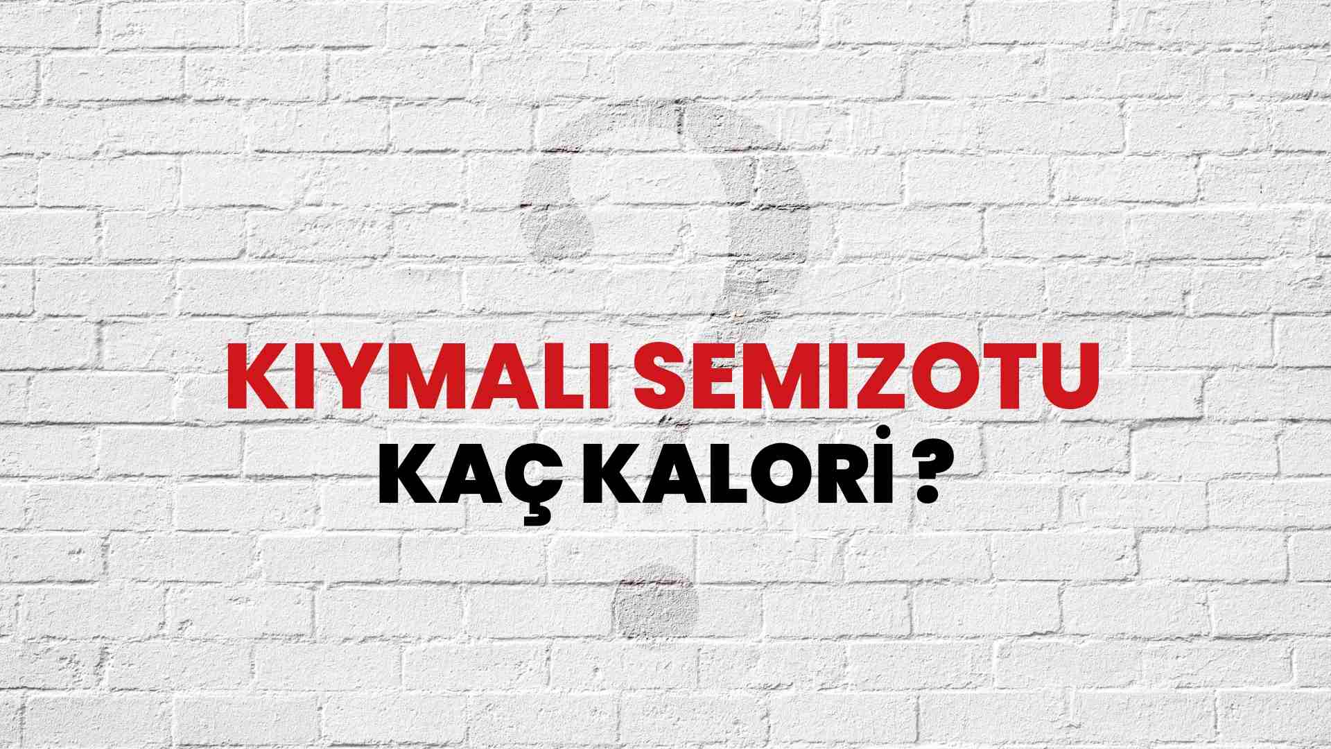Kıymalı Semizotu Kaç Kalori? Kıymalı Semizotu Kalori Miktarı ve Besin Değeri