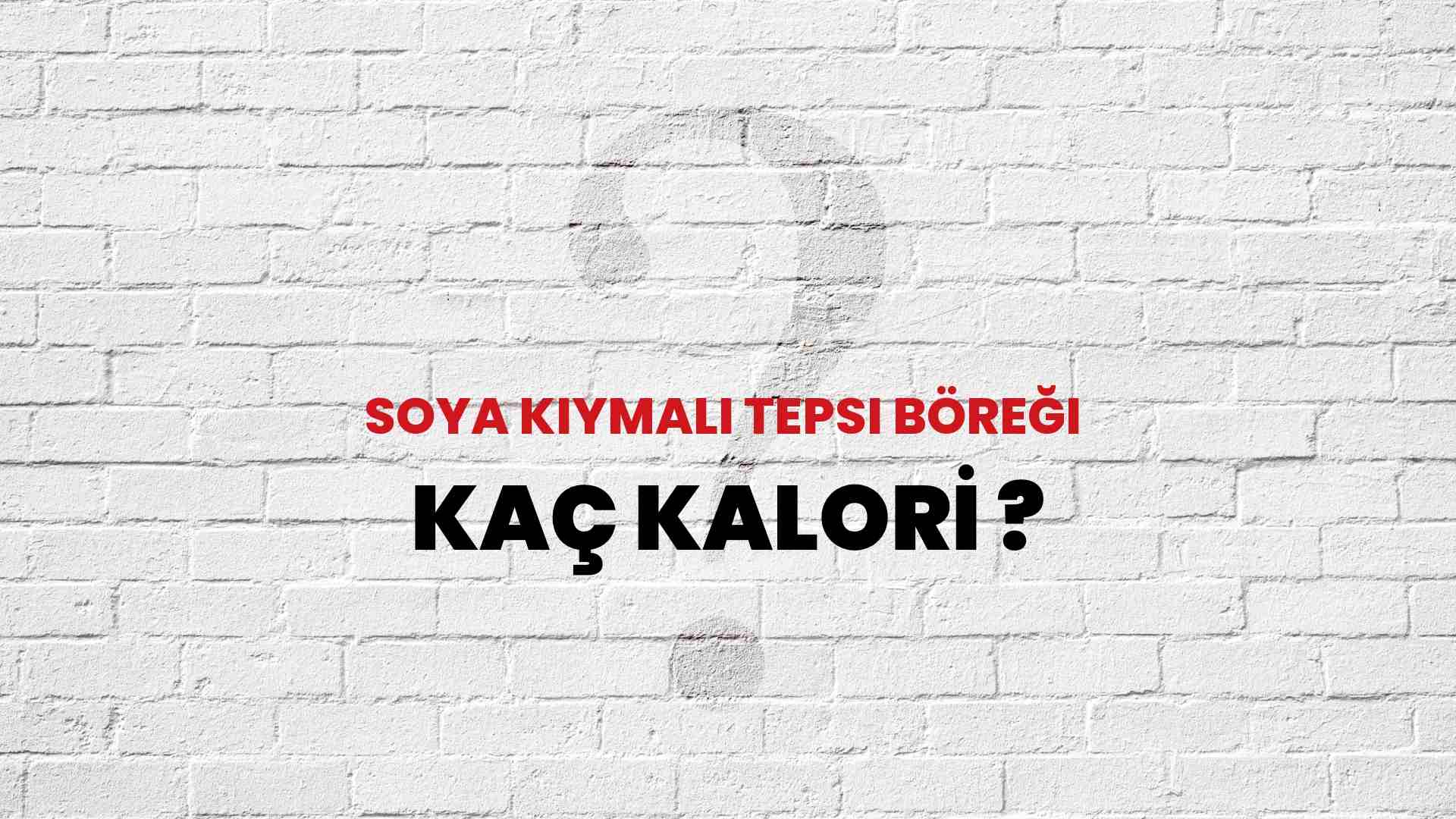 Soya Kıymalı Tepsi Böreği Kaç Kalori? Soya Kıymalı Tepsi Böreği Kalori Miktarı ve Besin Değeri