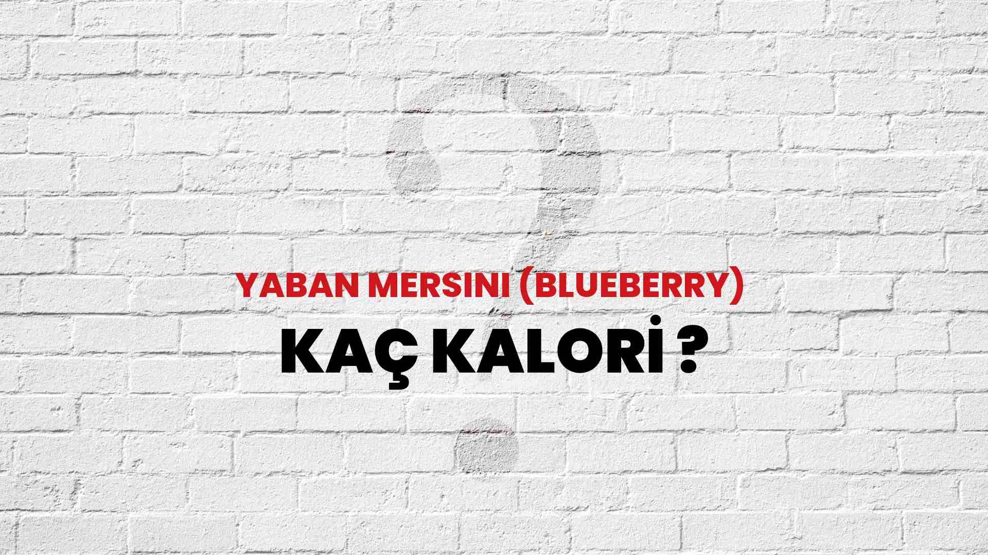 Yaban Mersini (Blueberry) Kaç Kalori? Yaban Mersini (Blueberry) Kalori