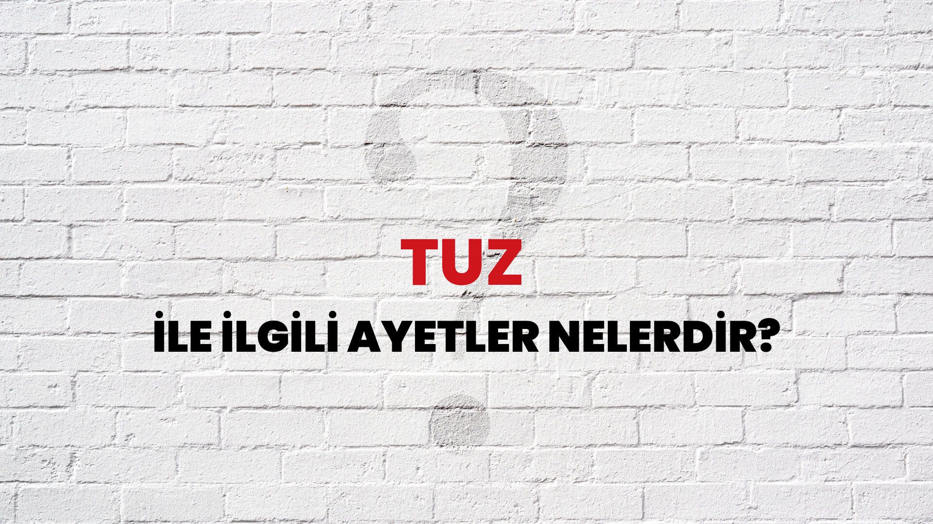 Tuz İle İlgili Ayetler Nelerdir?