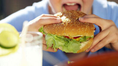 Obezitede yeni faktör: Bağırsaklar