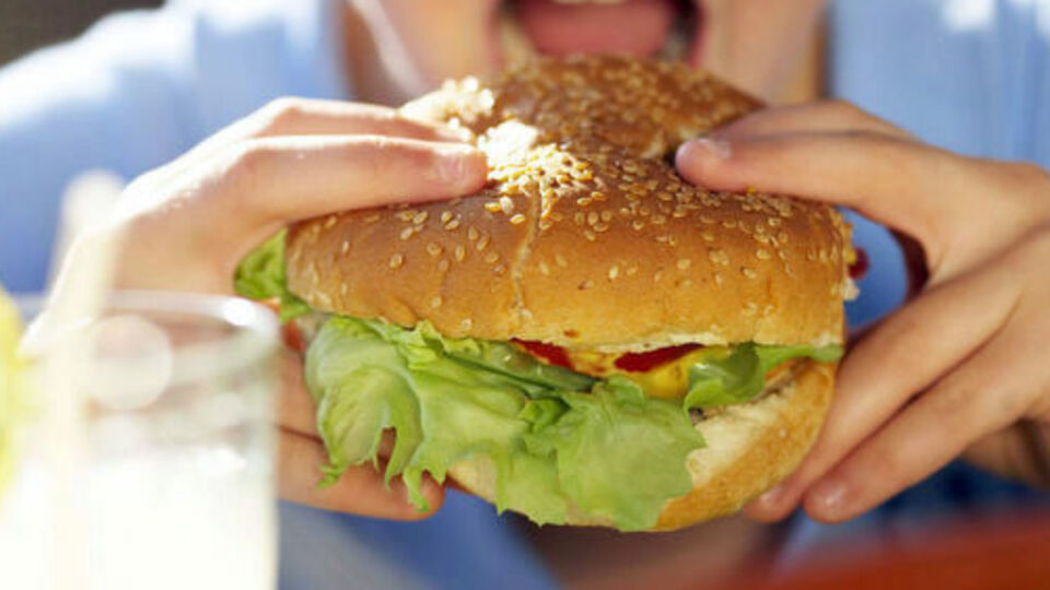 Obezitede yeni faktör: Bağırsaklar