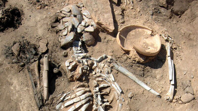 4 bin yıllık beyin bulundu