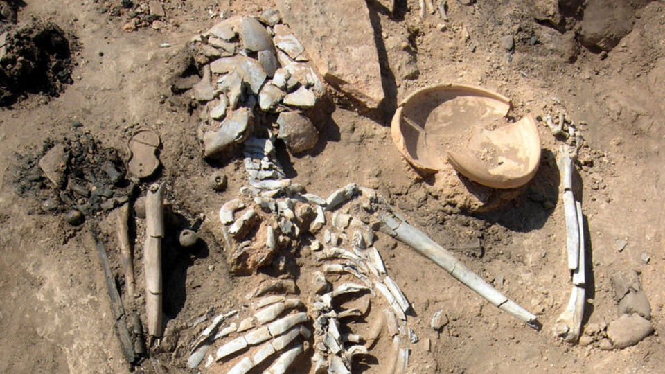 4 bin yıllık beyin bulundu