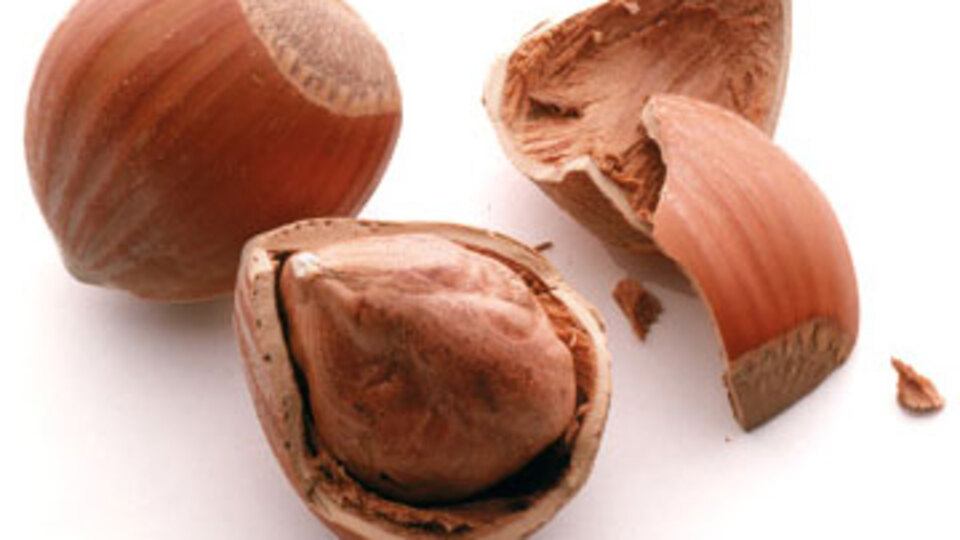 7 ateş düşürücü besin