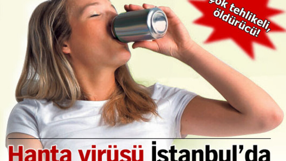 Hanta virüsü İstanbul'da