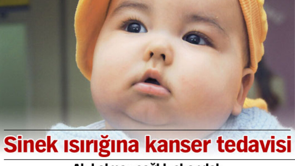 Sinek ısırığına kanser tedavisi