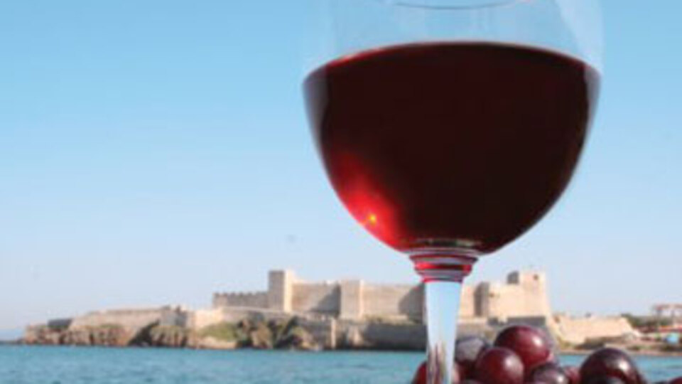 Türk şarabı ödüle doymuyor