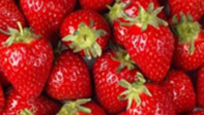 Gıda alerjisi hastalık habercisi