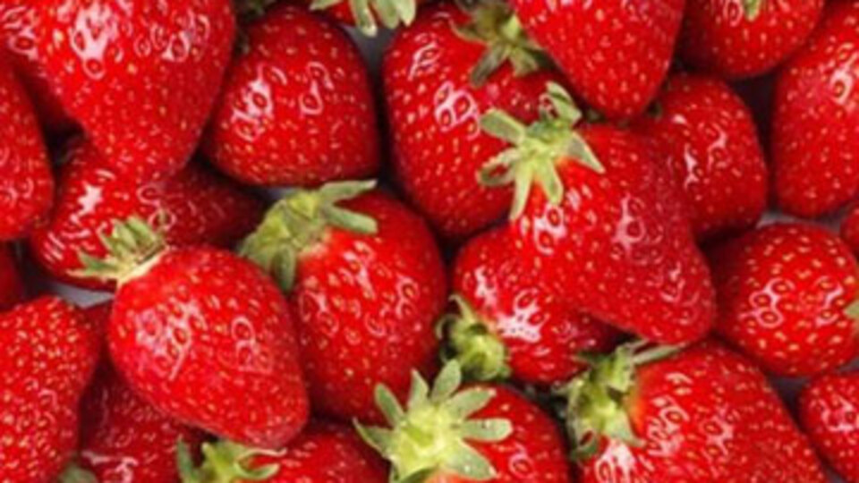 Gıda alerjisi hastalık habercisi