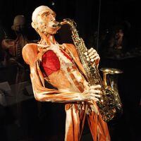 'Evladiyelik' insan bedenleri