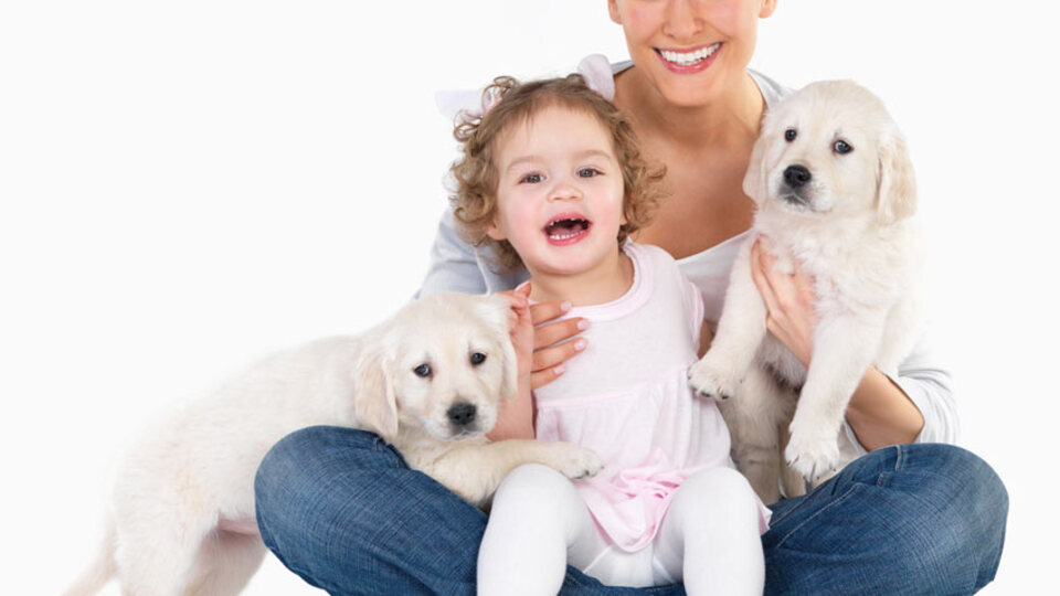 Evde kedi köpek beslerken dikkat!
