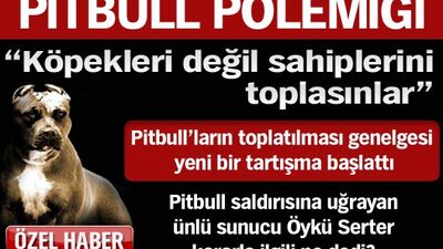 "Köpekleri değil sahiplerini toplasınlar"