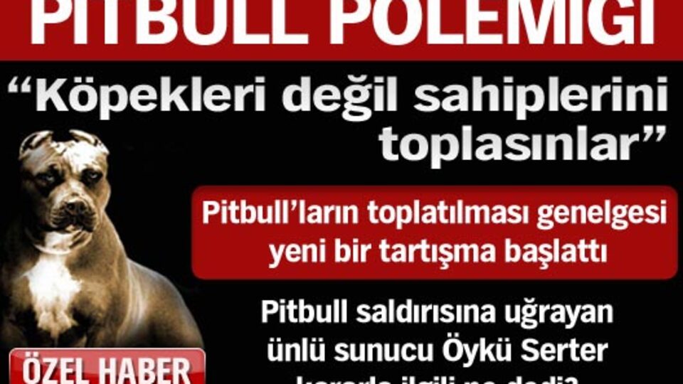"Köpekleri değil sahiplerini toplasınlar"