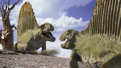 300 milyon yıl önce seks