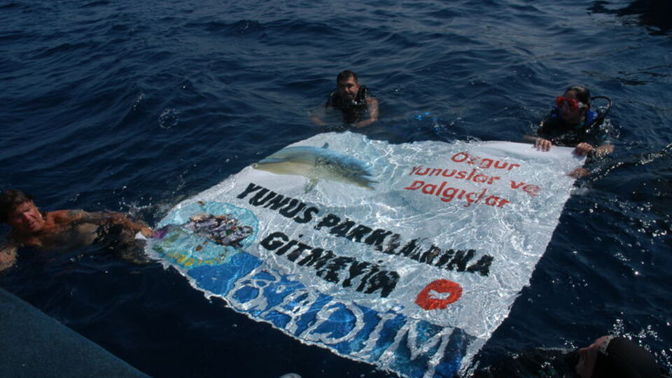 Yunuslar için pankart açtılar