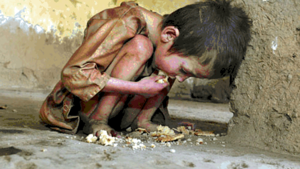 Dünyada bir milyar insan aç