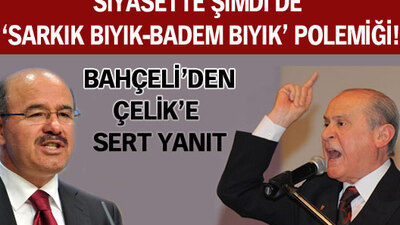 'Sarkık bıyık' tartışması