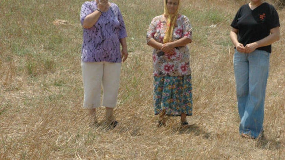 Adana'da köpek katliamı