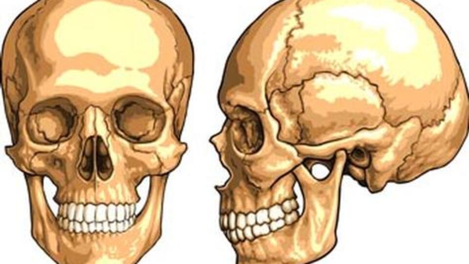 Dört bin yıl önce beyin ameliyatı yapılmış!