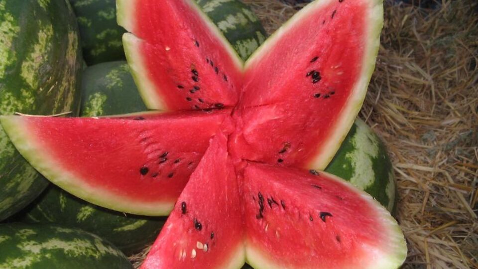 Yazın vazgeçilmezi kanserden koruyor