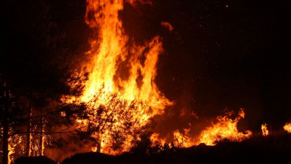 Hatay Dörtyol'da yangın