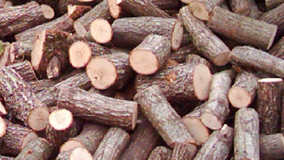 Kemik kusurlarını onardılar!