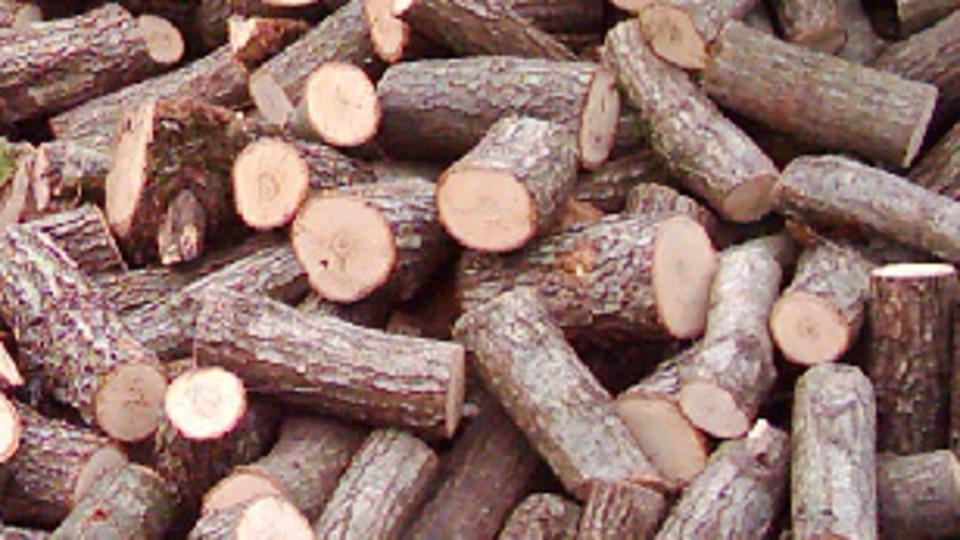 Kemik kusurlarını onardılar!