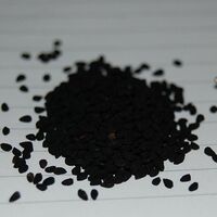 Dişlere 'Çörek ot'lu tedavi!