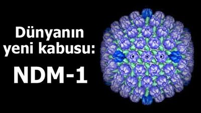 Dünyanın yeni kabusu: NDM-1