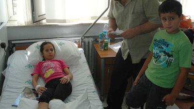 Eskişehir'de pitbull dehşeti!