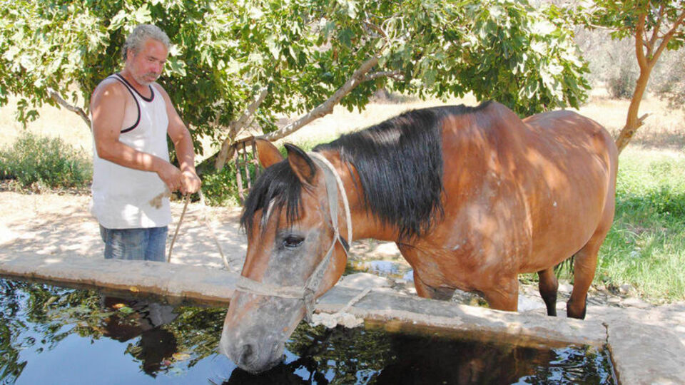 Tecavüzcü Coşkun satılıyor!