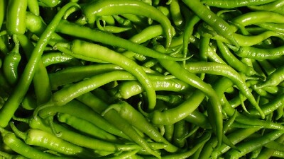 Yeşil biber çok faydalı