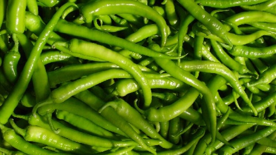 Yeşil biber çok faydalı