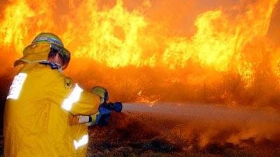 Büyükada'da yangın