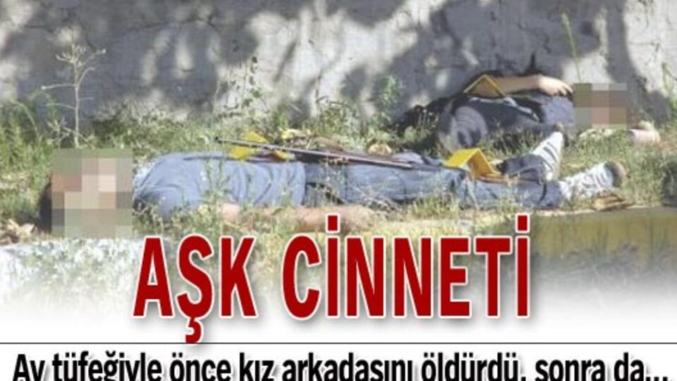 Aşk cinneti