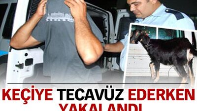 Keçiye tecavüz ederken yakalandı