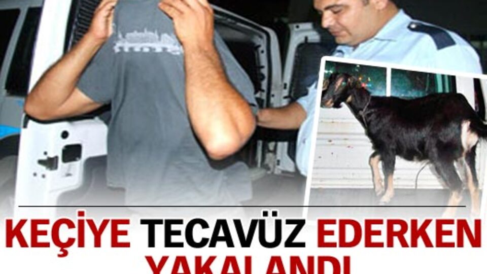 Keçiye tecavüz ederken yakalandı