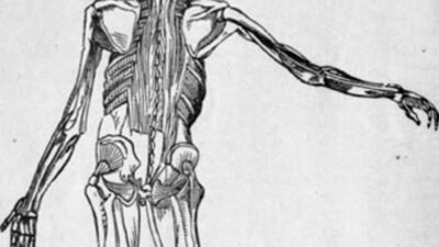 Vücudumuza dair bilmediklerimiz GALERİ