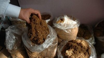 Açık tütün çok zararlı