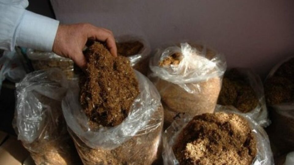 Açık tütün çok zararlı