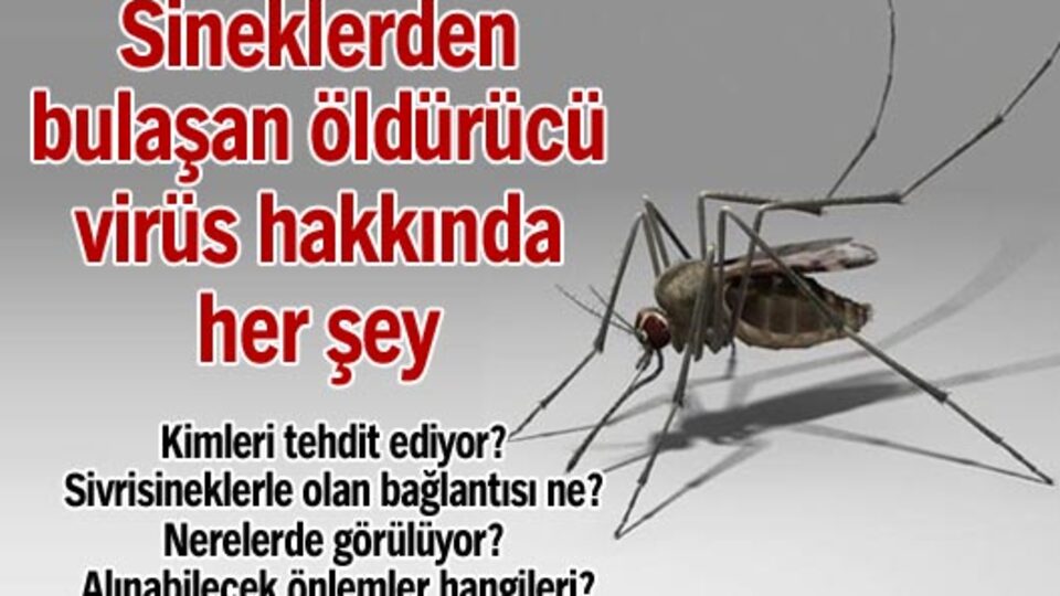 Batı Nil hakkında bilmek istediğiniz her şey