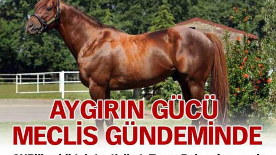 Aygırın gücü meclis gündeminde