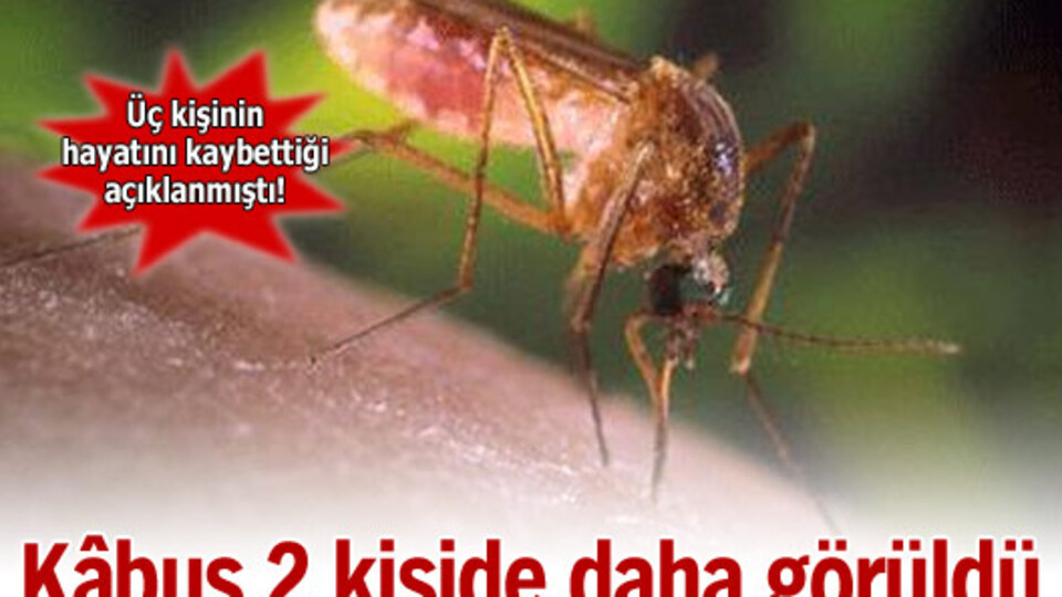 İki kişide daha Batı Nil görüldü!
