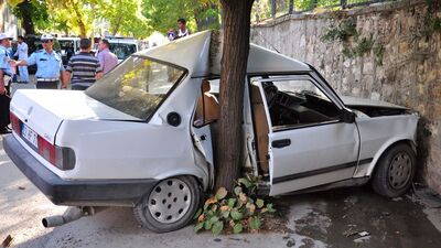 Bayramda can pazarı!