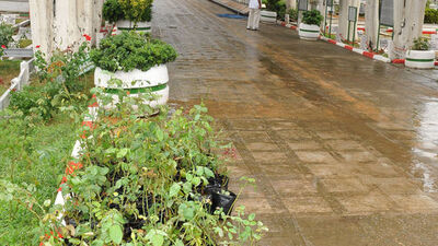 Mezarlıkta çatışma: 8 yaralı