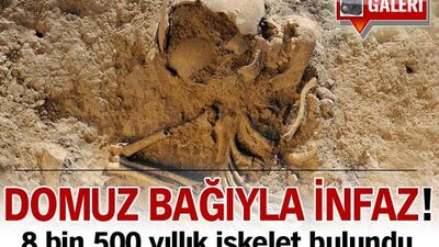 Domuz bağıyla infaz!