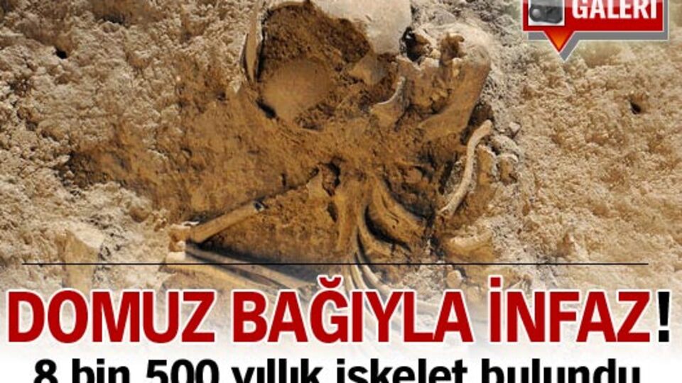 Domuz bağıyla infaz!