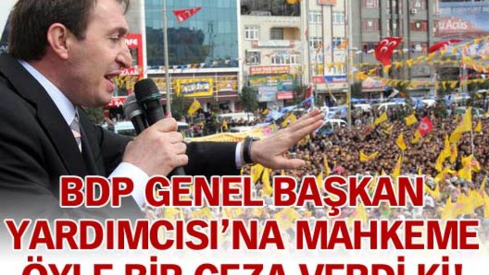 BDP Genel Başkan Yardımcısı'na terapi cezası