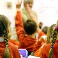 Bit nasıl bulaşır?